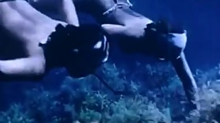 Classic Japanese Amah Underwater