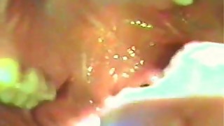 Bulletcam Lorrie