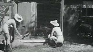 Group of Girls with Great Tits Playing Outdoors