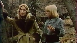 Confessions of a young american housewife (1974)