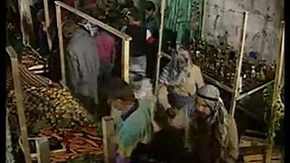 Arabika 1992