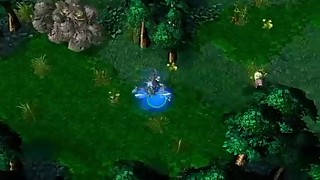 Warcraft 3 - DotA Endless Story (HD)